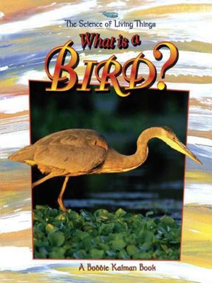 What is a Bird? - ebook
